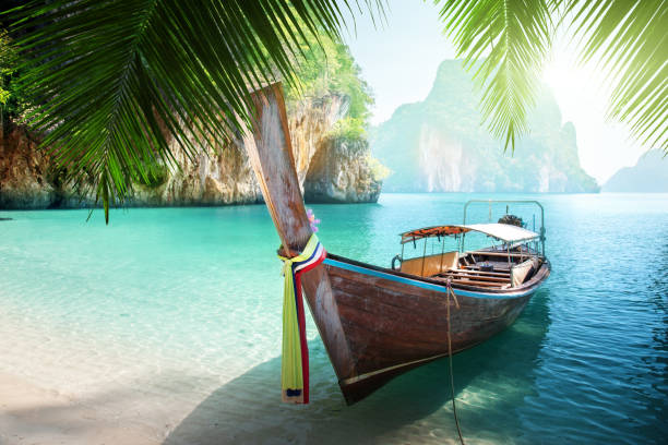 Sea beach sunset background travel thailand coconut natureSea beach sunset background travel thailand coconut nature