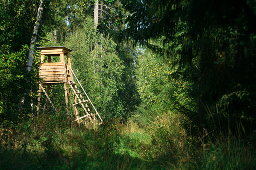 Hunting stand in the forest