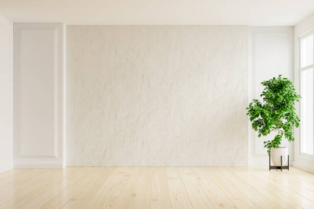 pared de yeso blanco habitación vacía con plantas en un suelo. - loft apartment living room penthouse indoors fotografías e imágenes de stock