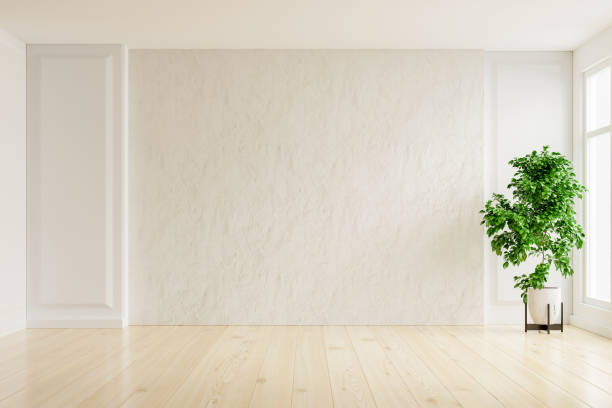 istock White plaster wall empty room with plants on a floor. 1281270309