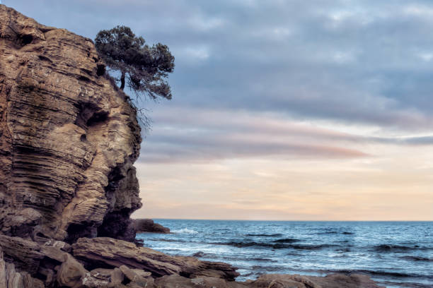 Coast in Benissa Alicante province Spain. Sunset. Lone pine tree on a cliff. A single tree on a rock. Beautiful sunset. Coast in Benissa Alicante Province , Spain. Summertime. Mediterranean sea. Copy space for text. benissa stock pictures, royalty-free photos & images