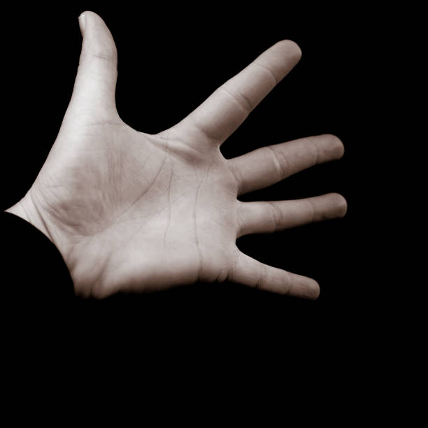 istock Human hand on black background showing number five (5) - counting fingers, fifth place, open hand 1281272433