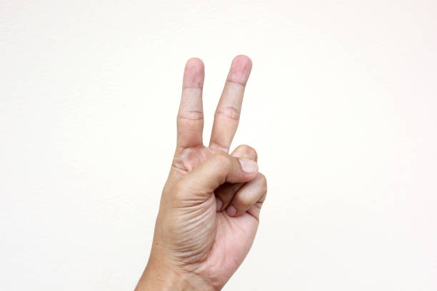 istock Various hand signs and symbols over a white background. 1281272556