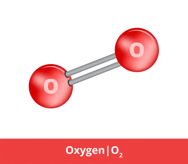 Vector illustration of Vector ball-and-stick model model of chemical substance. Icon of oxygen molecule O2 with one double bond. Structural formula of oxygen is suitable for education isolated on a white background.