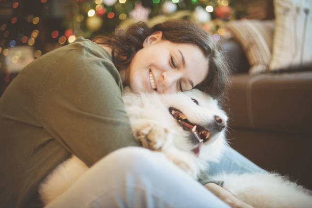 istock Woman and Samoyed dog in home interior ( christmas) 1281276813