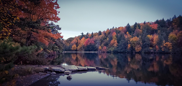 On an overcast autumn afternoon trees with colored leaves reflect on the still water of Lake Minnewaska at a New York State Park in Ulster County.