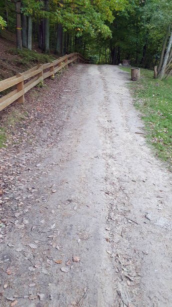 istock Path at the edge of the forest 1281284352