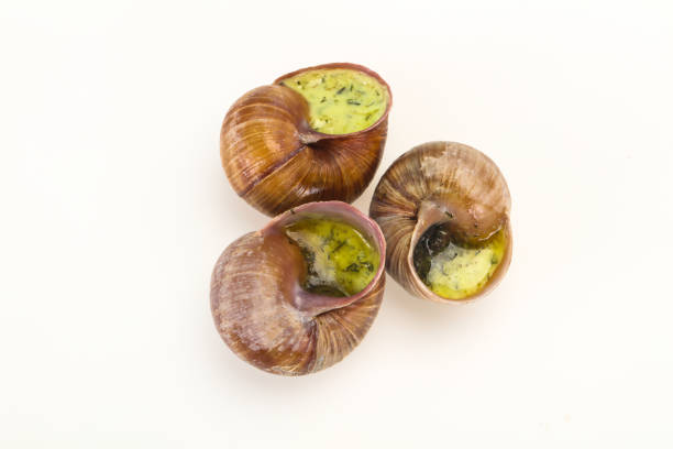 salted lupins on white plate and snails with glass of beer