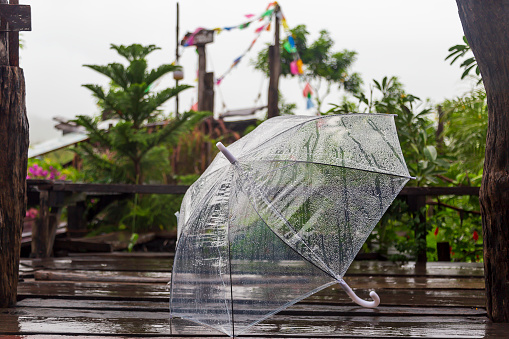 Clear rain umbrellas, placed in the rain, wet on an outdoor wooden floor.