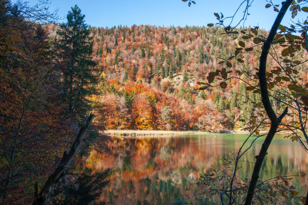istock View over the eastern Alpsee in Bavaria 1281286348