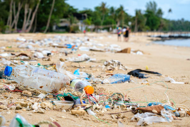 poluição da praia. garrafas plásticas e outros lixos na praia. problema ecológico - water pollution chemical garbage plastic - fotografias e filmes do acervo