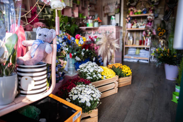 Little cozy flower shop