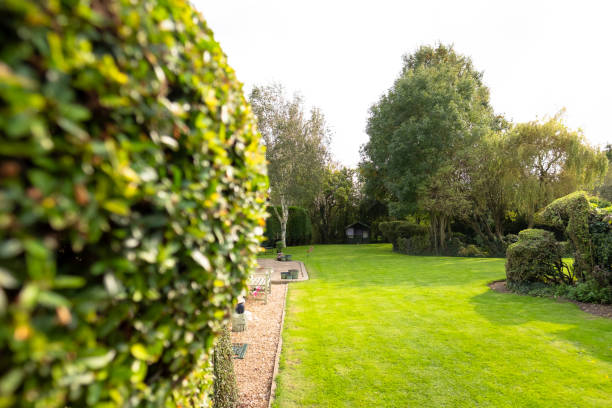 istock Well-maintained lawn and private gardens. 1281289502