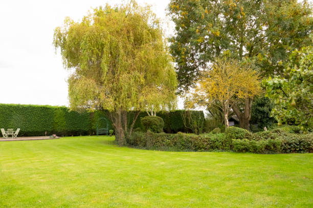 Well-maintained lawn and private gardens. stock photo