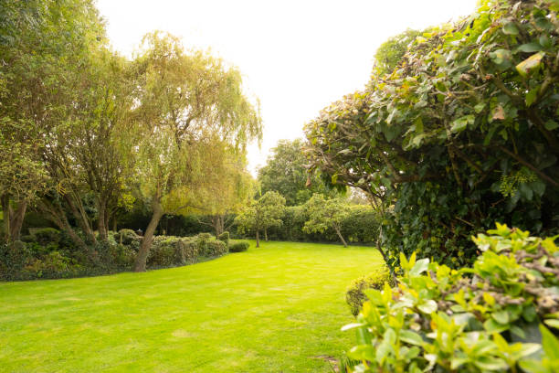 Well-maintained lawn and private gardens.