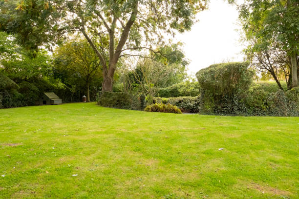 istock Well-maintained lawn and private gardens. 1281289531