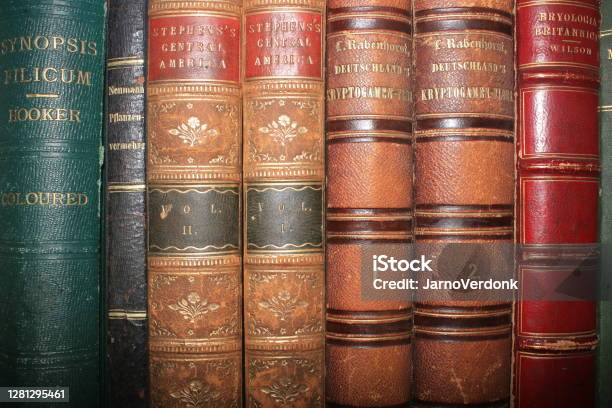 Antique Books On A Shelf Stock Photo - Download Image Now - Book, Book  Spine, Library - iStock