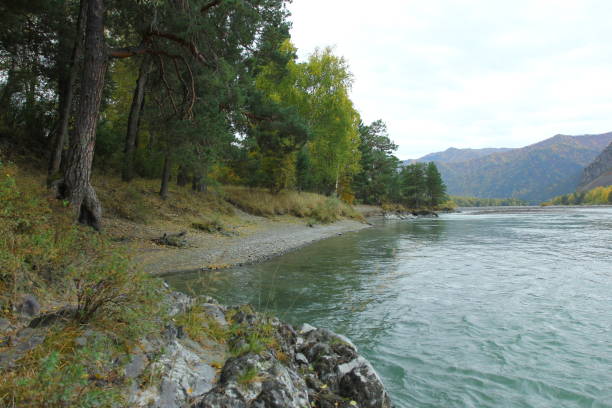istock Autumn landscape in Chemal, Altai mountains and Katun river. 1281296893