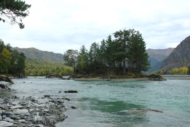 istock Autumn landscape in Chemal, Altai mountains and Katun river. 1281296996