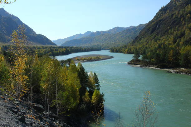 istock Autumn landscape in Chemal, Altai mountains and Katun river. 1281297163