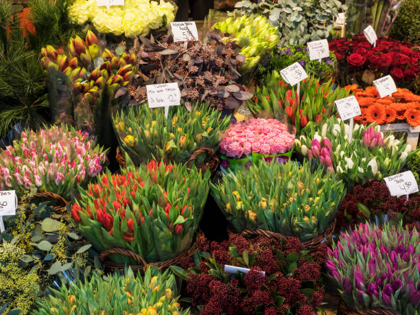 istock Tulips for sale 1281301598