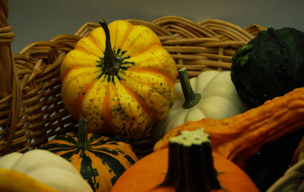 istock Colorful little pumpkin and gourds 1281303092