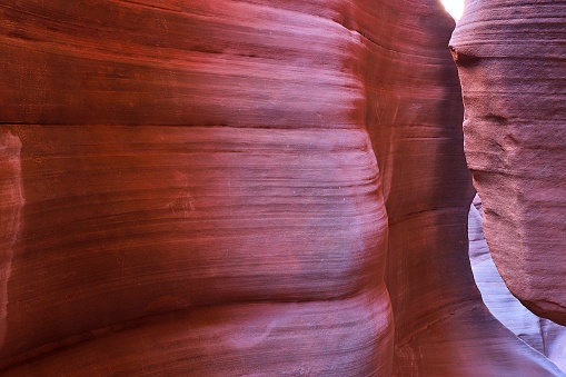 Slot canyons in Utah's Escalante National Monument offer dazzling views of sculpted sandstone and filtered light.