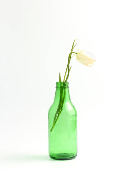istock minimalistic composition. flower in green glass vase on white background 1281304329