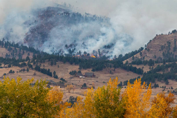istock Fires Burn in the Foothills from the Cal Wood Fire 1281304496