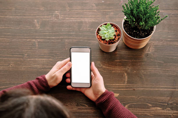 istock Woman using smart phone. Human hand and smart phone close-up shooting. 1281304840