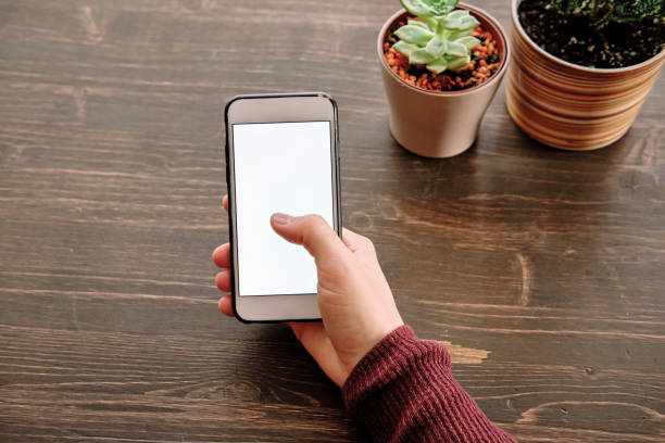 istock Woman using smart phone. Human hand and smart phone close-up shooting. 1281304904