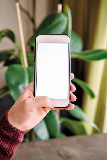 istock Woman using smart phone. Human hand and smart phone close-up shooting. 1281304983