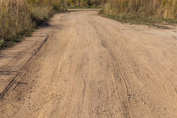 istock dusty dry dirt road with wild grass thickets on its sides 1281305015