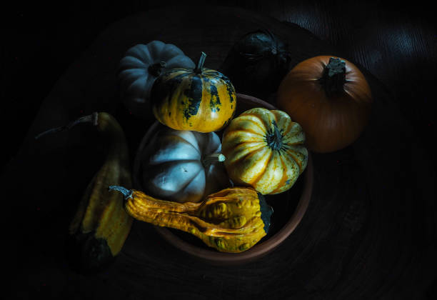 istock Colorful little pumpkin and gourds 1281305822