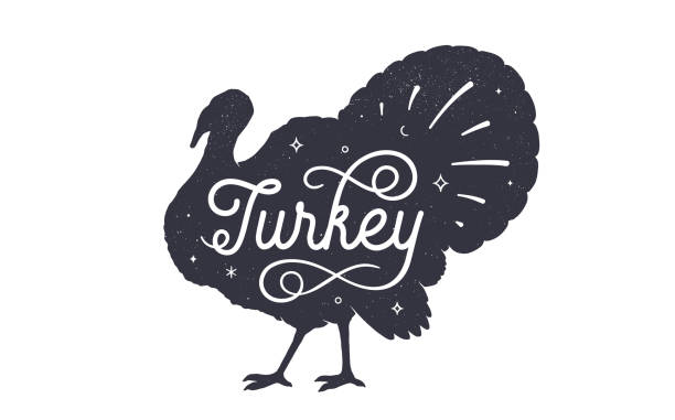 Turkey. Vintage retro print Turkey. Vintage retro print, black white turkey drawing, grunge old school style. Isolated black silhouette turkey, hand lettering on white background. Side view profile. Vector Illustration thanksgiving holiday silhouettes stock illustrations