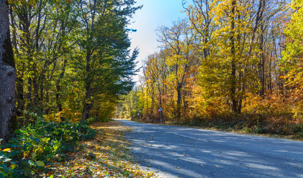 istock Mountain road through the autumn forest 1281307683