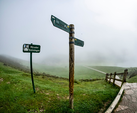 Wooden poles with arrows of direction in the Natural Park of the Picos de Europa in a day with fog.