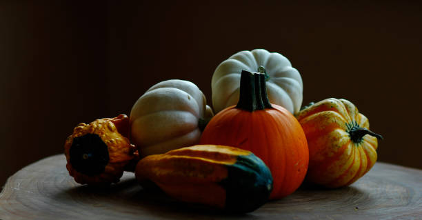 istock Colorful little pumpkin and gourds 1281312663