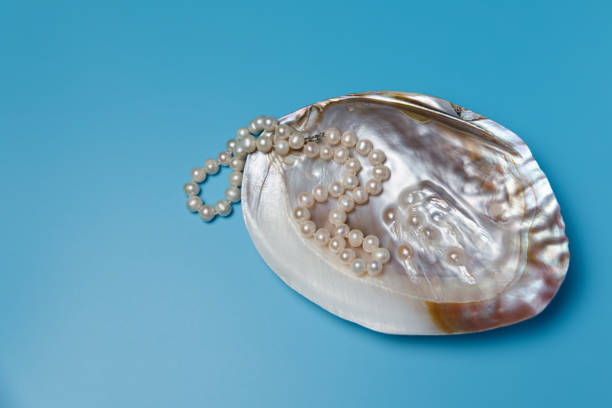 istock Pearl necklace natural oyster copy space blue background. 1281314512