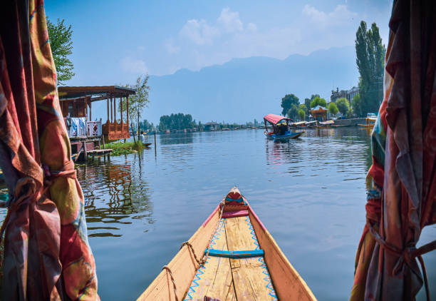 istock From the Dal Lake in Srinagar 1281315122