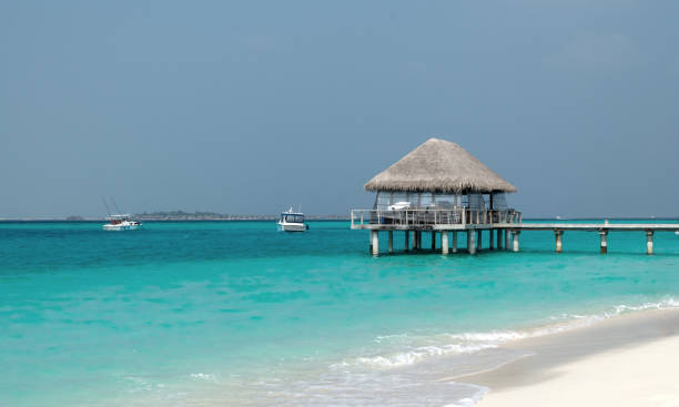 istock Pier at turquoise ocean and sandy beach. 1281316312