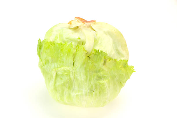 Fresh ripe green Iceberg salad - ready for cooking