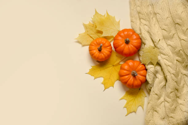 istock Pumpkins and yellow maple leaves on a colored background. Flat lay autumn composition with copy space. Holiday card template 1281323300