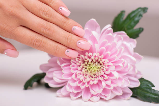 istock Female hand with nude manicure nails 1281323751