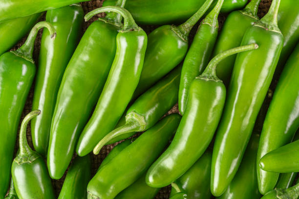 istock Fresh Jalapeno peppers bunch 1281325903