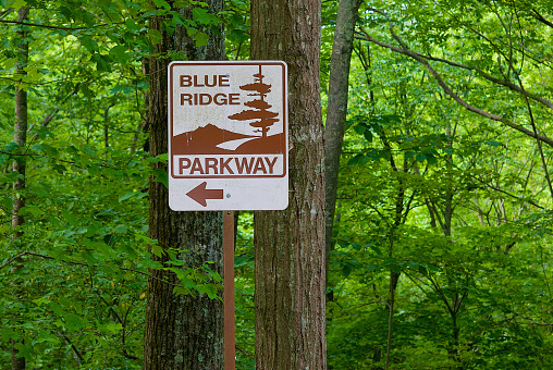 A metal directional sign points the way to the Blue Ridge Parkway.