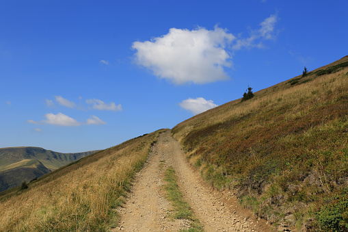 Landscape with mountain pathway under clouds in blue sky, take it in Ukrainian Carpathians