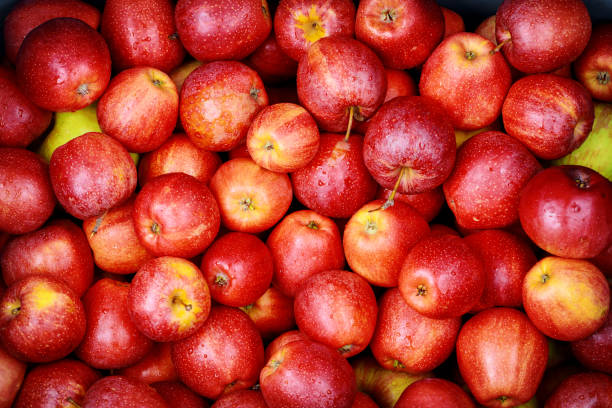 光沢のある赤いリンゴ。健康的なダイエット食品の概念。 - apple gala apple fuji apple fruit ストックフォトと画像