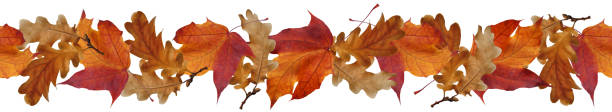 istock Seamless border from autumn leaves 1281329725