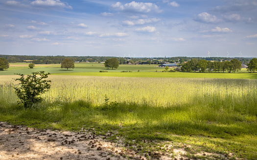 Agricultural landscape seen from Bergherbos nature reserve